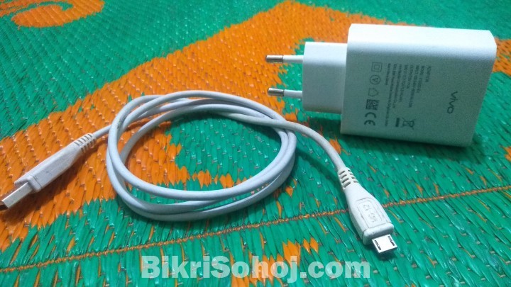 Vivo charger